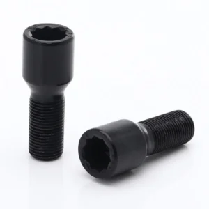Set of 20 Short Star Bolts + Key